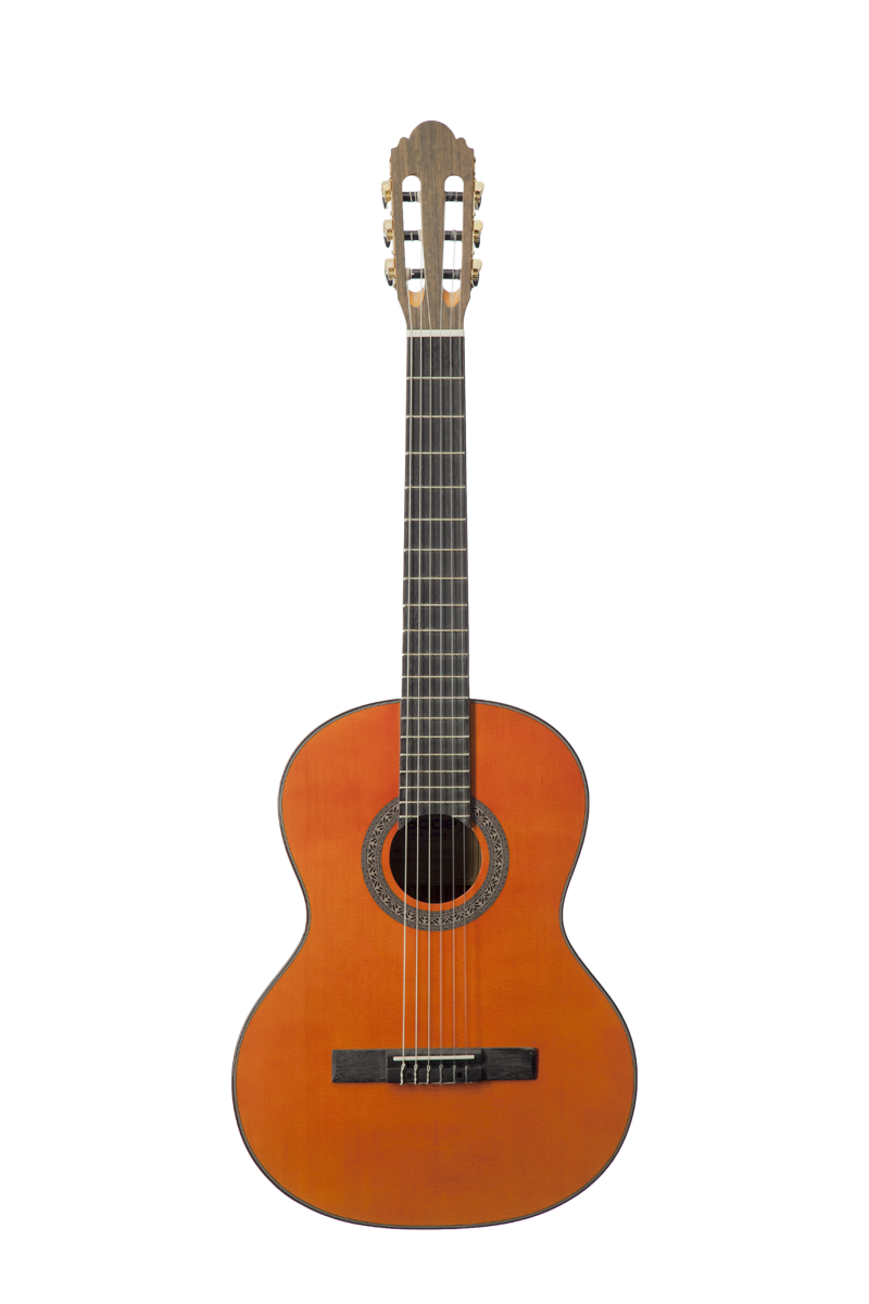 SQOE EC3980S классическая гитара 